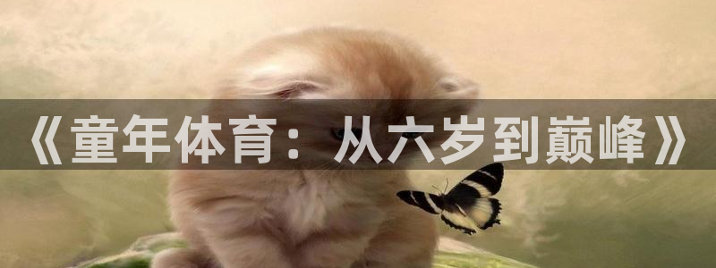 成都熊猫体育公园