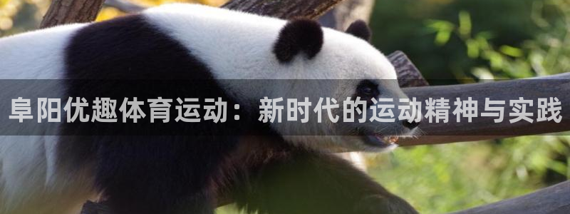 熊猫体育官网首页入口