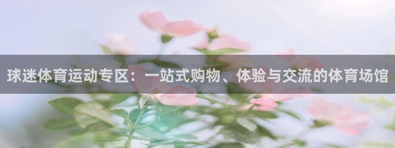 熊猫体育网址