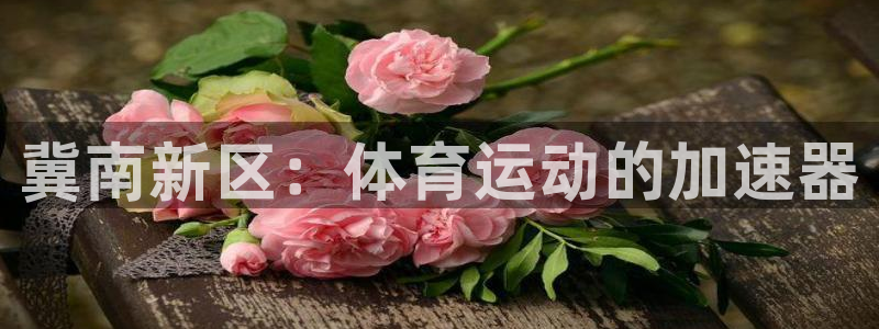 熊猫体育app官方入口