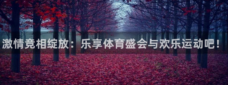 熊猫体育官方网站