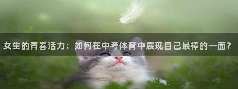 熊猫体育公园价格