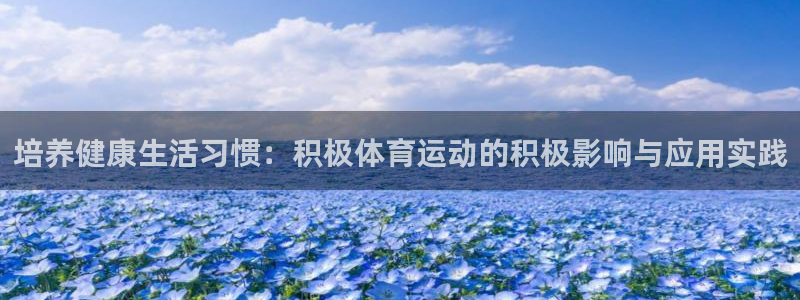 熊猫体育在线