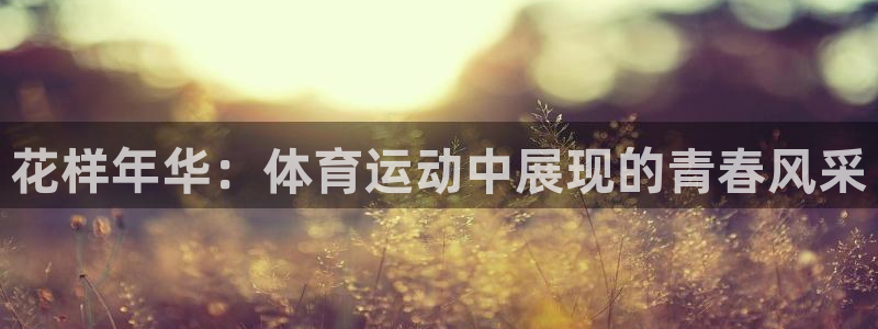 成都金熊猫体育