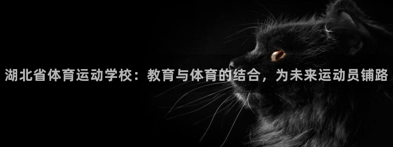 熊猫体育文化有限公司