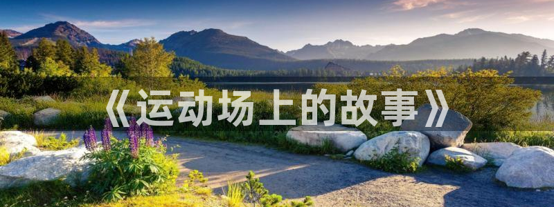 熊猫体育公园价格