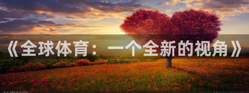 熊猫体育v3.新网页.org