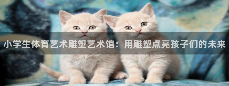 熊猫体育官网