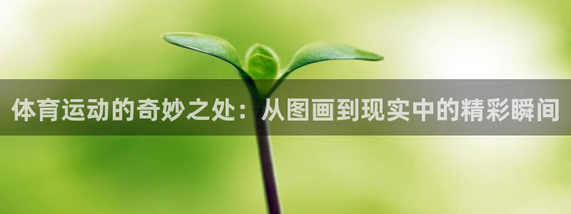 熊猫体育app下载安装