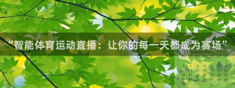 熊猫体育v3.新网页.org
