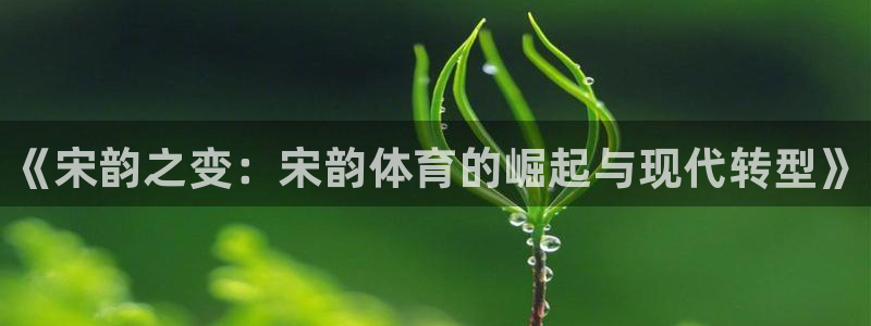 熊猫体育手机版