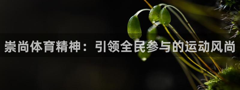 熊猫体育app官方下载最新版
