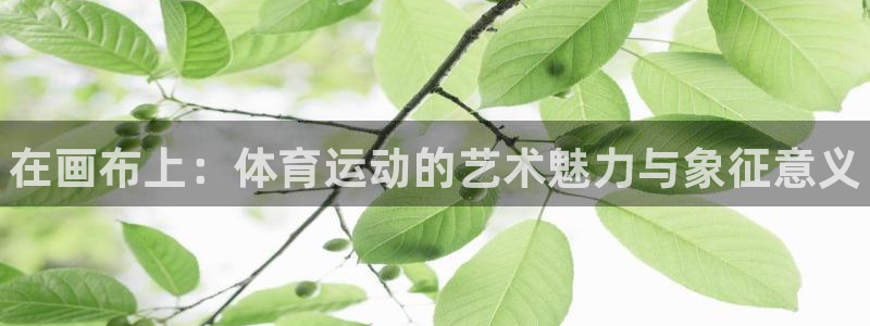 熊猫体育怎么样