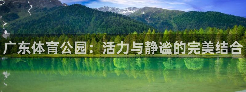 熊猫体育v3.新网页.org