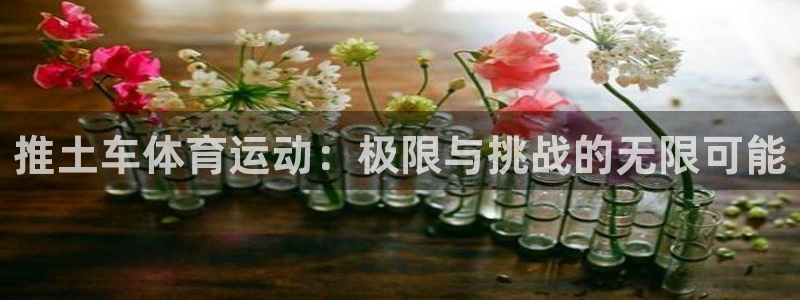 熊猫体育直播nba