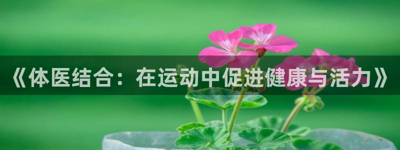 熊猫体育公园价格：《体医结合：在运动中促进健康与活力》