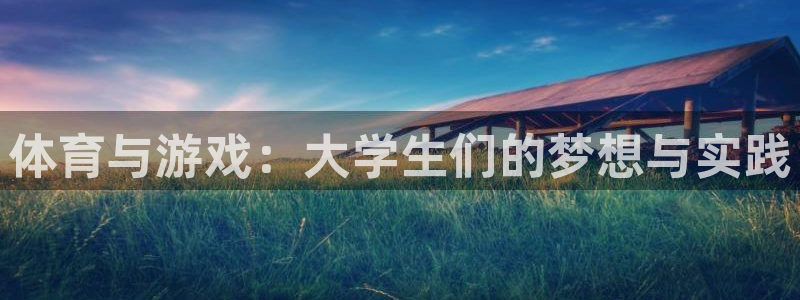 熊猫体育nba：体育与游戏：大学生们的梦想与实践